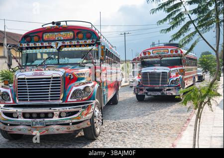 Brightly decorated chicken buses parked in a cobblestone street of Antigua Guatemala, showcasing traditional transport and vibrant local culture with Stock Photo