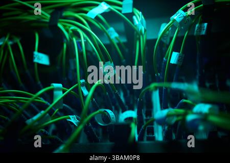 Illuminated Network Cables In Data Center Close-Up Stock Photo