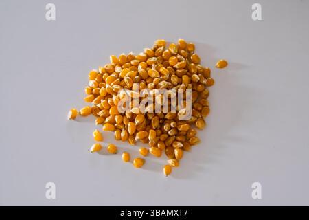 Short Description: A close-up of a small heap of yellow, dried popcorn kernels scattered on a smooth, pale grey surface. Stock Photo
