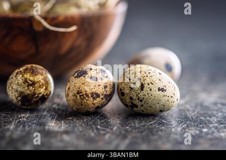 Spotted quail eggs on a black table. Stock Photo