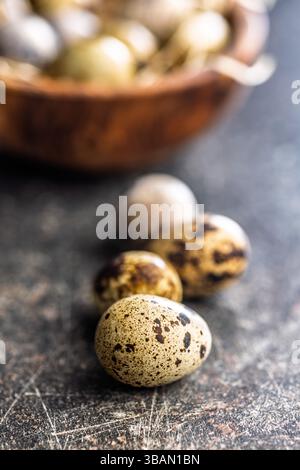 Spotted quail eggs on a black table. Stock Photo