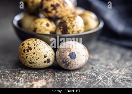 Spotted quail eggs on a black table. Stock Photo