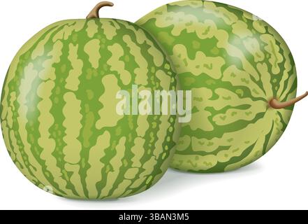 Group of Yellow Doll Watermelon. Citrullus lanatus. Fruits and vegetables. Isolated vector illustration. Stock Vector