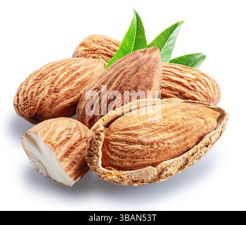 Pile of almond nuts, cracked nuts and almond in shell isolated on white background. File contains clipping path. Stock Photo