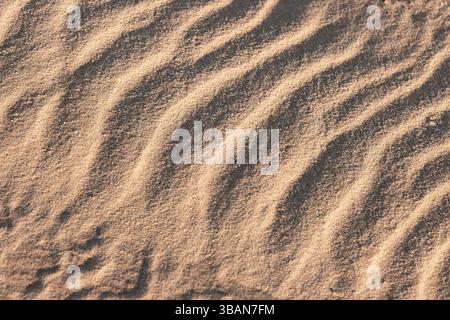 Natural background photo texture. Rippling sand patterns created by the wind, top view Stock Photo