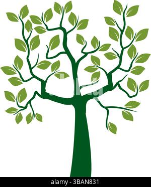 Shape of Green Tree with Leaves and fruits. Vector outline Illustration. Plant in Garden. Stock Vector