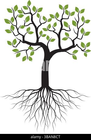 Green Tree with Roots on white background isolated. Stock Vector