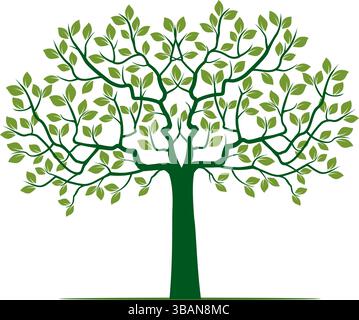 Shape of Spring Tree with greenn Leaves. Vector outline Illustration. Plant in Garden. Stock Vector