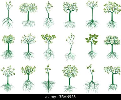 Set green trees in white background. Stock Vector