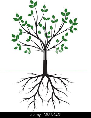 Green vector Tree with Roots isolated. Outline illustration. Stock Vector