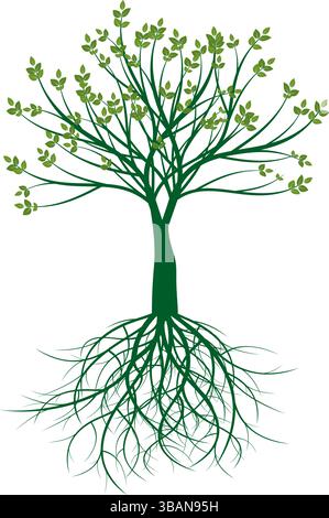 Green vector tree with Roots isolated. Stock Vector