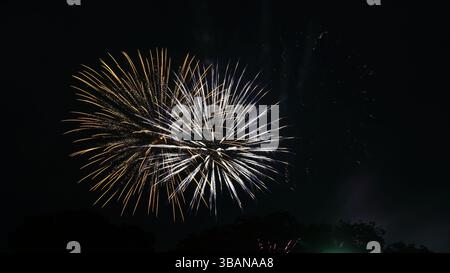 Explosive Beauty: Fireworks Lighting Up the Night Stock Photo