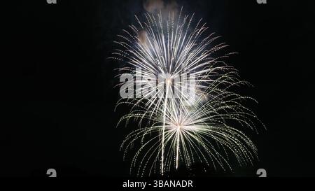 Explosive Beauty: Fireworks Lighting Up the Night Stock Photo