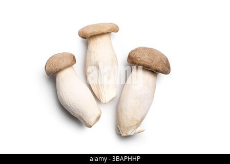 King Oyster Mushrooms isolated on white background. Healthy vegan vegetarian food, Eryngii or Trumpet mushroom. Stock Photo