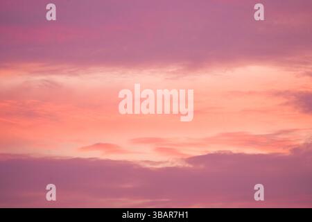 Sunset in the sky in pastel colors. Purple and pink sky with clouds in the evening. Nature background. Stock Photo