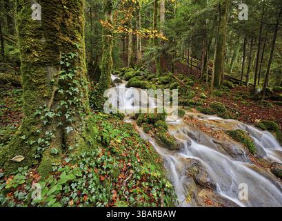 Waterfall surrounded by moss-covered stones in autumnal coloured surroundings, on the river Sihl, Sihlsprung, Menzingen, Canton Zug, Switzerland, Euro Stock Photo