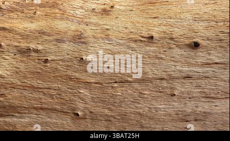 Natural wood grain background with knots and texture, perfect for rustic designs Stock Photo
