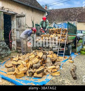 Two workers cutting split Oak logs into shorter lengths with chain saws - central France. Stock Photo