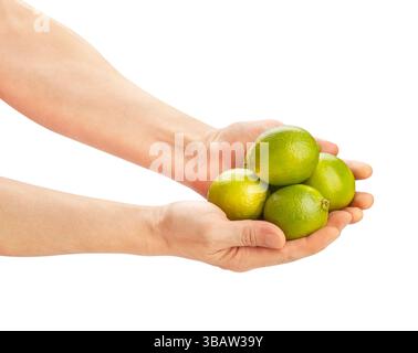 limes in hand path isolated on white Stock Photo