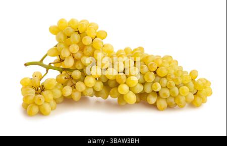 sultana seedless grape path isolated on white Stock Photo