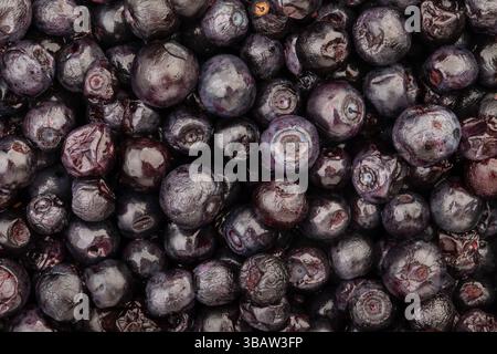 blackberry pattern background top view Stock Photo