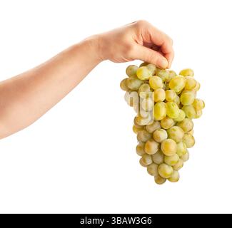 white grape in hand path isolated on white Stock Photo