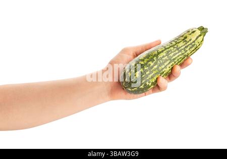 marrow zucchini in hand path isolated on white Stock Photo