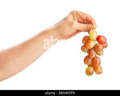 red grape in hand path isolated on white Stock Photo