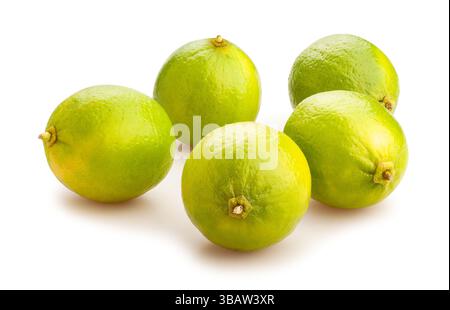 limes path isolated on white Stock Photo