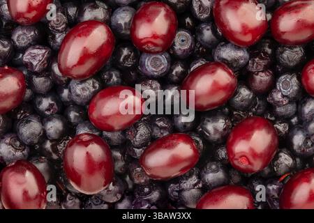 blackberry dogwood berry mix pattern background top view Stock Photo