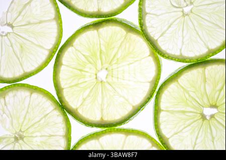 Circle slices of lime backlit on white background Stock Photo