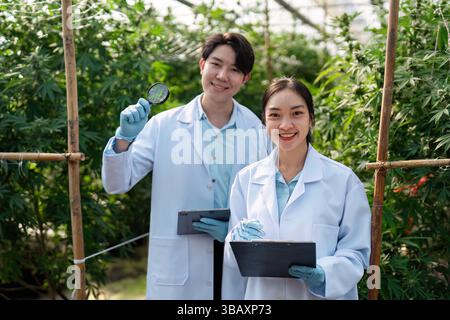 Cheerful scientists celebrating research progress on cannabis in a greenhouse. Stock Photo
