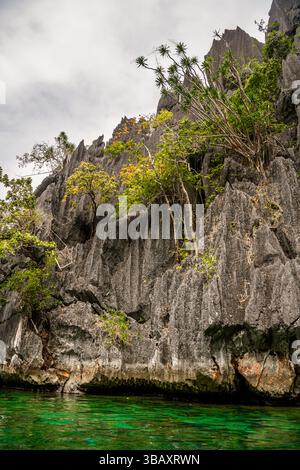 Famous Limestone rocks of Coron island Busuanga Palawan Philippines ...