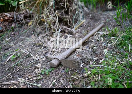 Old dirty pickaxe on forest floor Stock Photo