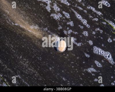 Smooth Pebble on Black Sand Beach with Gentle Seafoam Bubbles, Burgas, Bulgaria Stock Photo