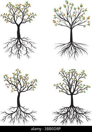 Set of Autumn Tree with Roots. Vector outline Illustration. Plant in Garden. Stock Vector