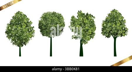 Collection of Realistic Trees with Green Leaves and Roots. Vector Illustration isolated on White Background. Stock Vector