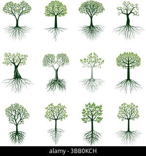 Set of Trees with Roots and Leaves and Roots. Vector Illustration. Collection of icons. Stock Vector
