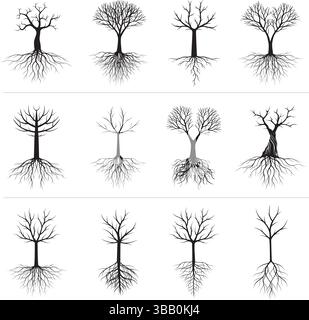 Set of Trees with Roots. Vector Illustration. Collection of icons. Stock Vector