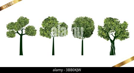 Collection of Realistic Trees with Green Leaves. Vector Illustration isolated on White Background. Stock Vector
