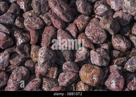 Smooth pebbles in shades of purple and gray are densely packed on the ground, creating a textured, colorful surface that catches the sunlight beautifu Stock Photo