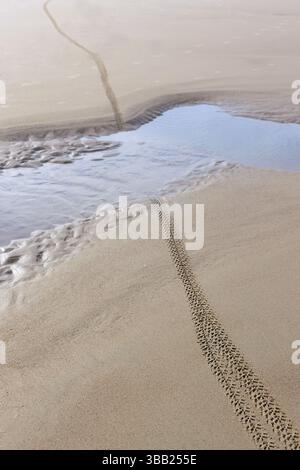 Bicycle tracks through a puddle of water on a beach. Stock Photo