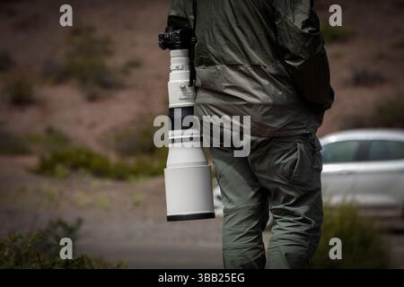 Bird photographer with camera and 600 mm telephoto lens Stock Photo