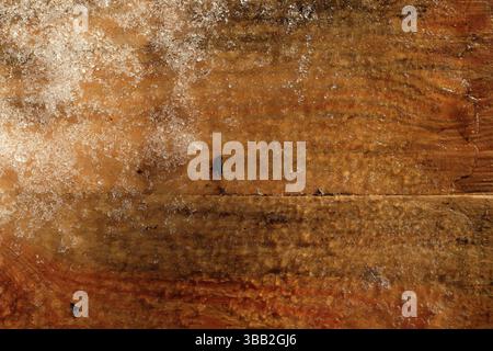 Wet pine tree board under snow. Wooden background for design. Wooden surface of warm, reddish-brown color with natural texture. Stock Photo