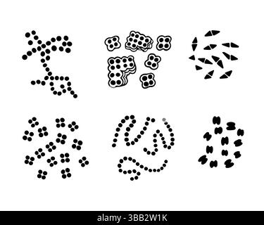 infectious bacillus icon vector outline illustration Stock Vector Image ...