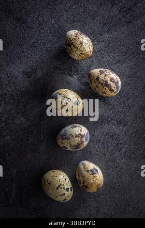 Spotted quail eggs on a black table. Top view. Stock Photo