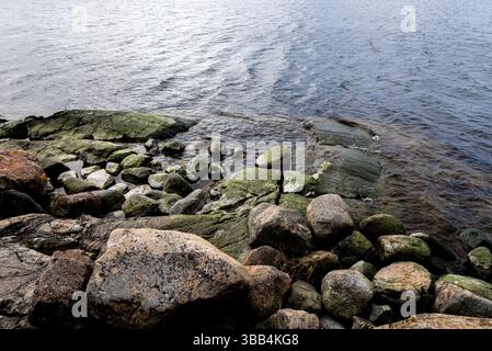 Stones covered with green seaweed in the water. Smooth transparent reflective water. Stock Photo