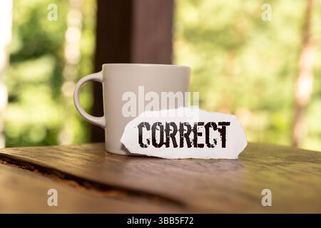 Book Script Edit And Paper Text Proofreading Stock Photo