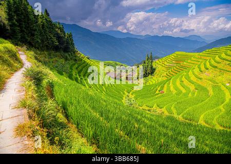 Yao Village Dazhai, Longsheng, near town of Guilin, Guangxi, China. Farmhouses in highlands of China, farm land, rice terraces. Stock Photo