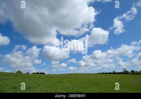 white clouds on blue sky over green field, norfolk, england Stock Photo
